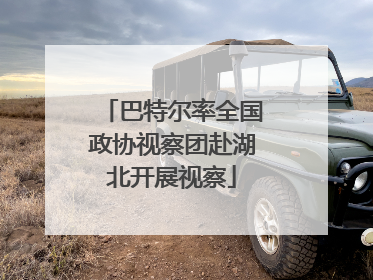 巴特尔率全国政协视察团赴湖北开展视察