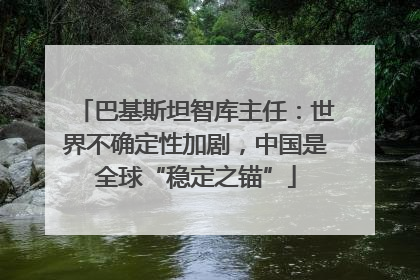 巴基斯坦智库主任：世界不确定性加剧，中国是全球“稳定之锚”