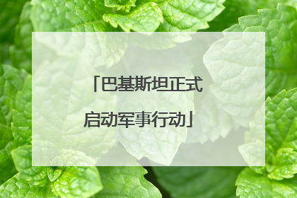 巴基斯坦正式启动军事行动