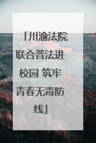 川渝法院联合普法进校园 筑牢青春无毒防线