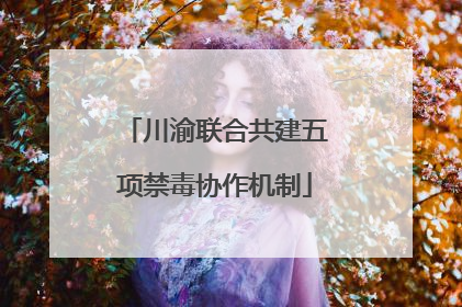 川渝联合共建五项禁毒协作机制