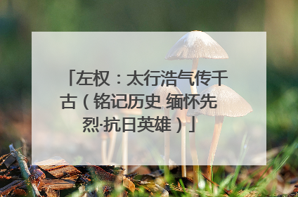 左权：太行浩气传千古（铭记历史 缅怀先烈·抗日英雄）