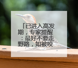 已进入高发期，专家提醒：最好不要走野路，如被咬先拍照