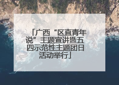 广西“区直青年说”主题宣讲暨五四示范性主题团日活动举行