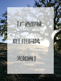 广西罗城夏日田园风光如画