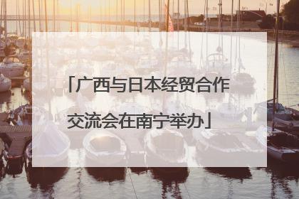 广西与日本经贸合作交流会在南宁举办