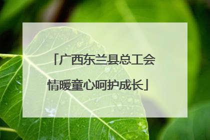 广西东兰县总工会情暖童心呵护成长