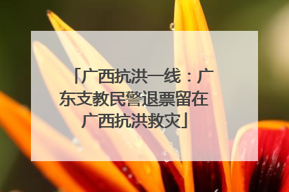 广西抗洪一线：广东支教民警退票留在广西抗洪救灾