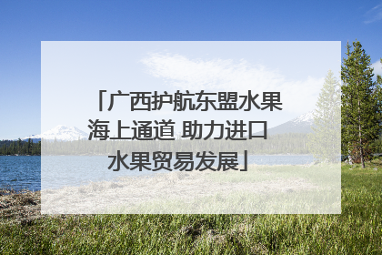 广西护航东盟水果海上通道 助力进口水果贸易发展