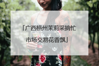 广西横州茉莉采摘忙 市场交易花香飘