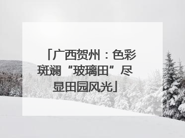 广西贺州：色彩斑斓“玻璃田”尽显田园风光