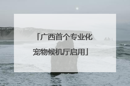 广西首个专业化宠物候机厅启用