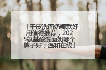 干皮洗面奶哪款好用值得推荐，2025氨基酸洗面奶哪个牌子好，温和在线