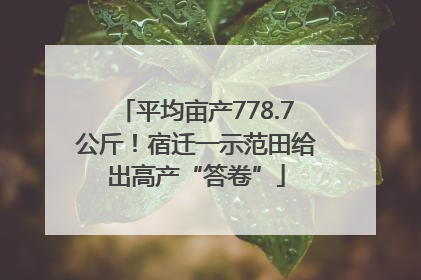 平均亩产778.7公斤！宿迁一示范田给出高产“答卷”