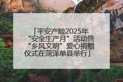 平安产险2025年“安全生产月”活动暨“乡风文明”爱心捐赠仪式在菏泽单县举行