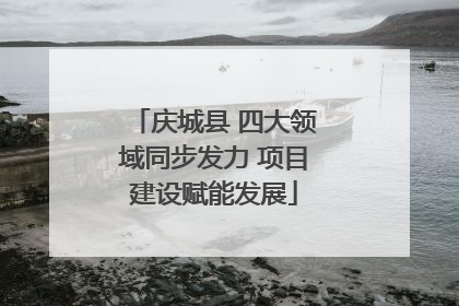 庆城县 四大领域同步发力 项目建设赋能发展