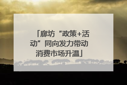 廊坊“政策+活动”同向发力带动消费市场升温