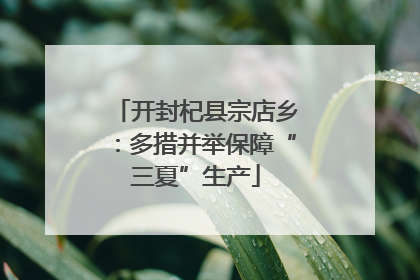 开封杞县宗店乡：多措并举保障“三夏”生产