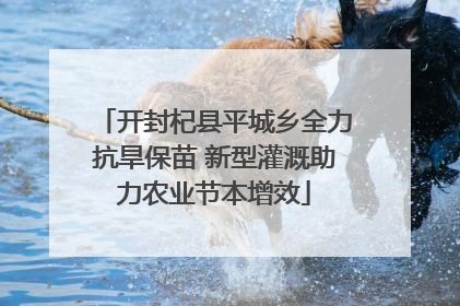 开封杞县平城乡全力抗旱保苗 新型灌溉助力农业节本增效