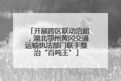 开展跨区联动治超，湖北鄂州黄冈交通运输执法部门联手整治“百吨王”