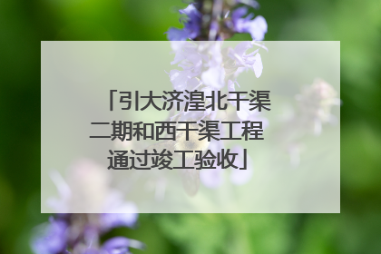 引大济湟北干渠二期和西干渠工程通过竣工验收