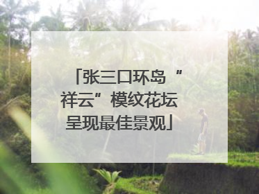 张三口环岛“祥云”模纹花坛呈现最佳景观