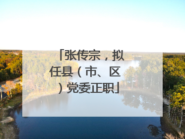 张传宗，拟任县（市、区）党委正职