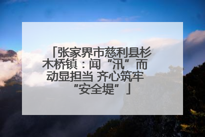 张家界市慈利县杉木桥镇：闻“汛”而动显担当 齐心筑牢“安全堤”
