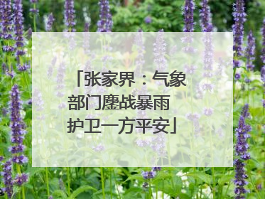 张家界：气象部门鏖战暴雨 护卫一方平安