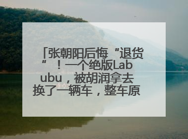 张朝阳后悔“退货”！一个绝版Labubu，被胡润拿去换了一辆车，整车原价值上百万元