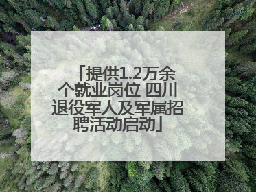 提供1.2万余个就业岗位 四川退役军人及军属招聘活动启动