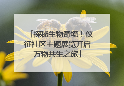 探秘生物奇境！仪征社区主题展览开启万物共生之旅