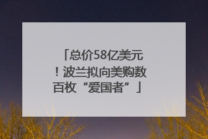 总价58亿美元！波兰拟向美购数百枚“爱国者”