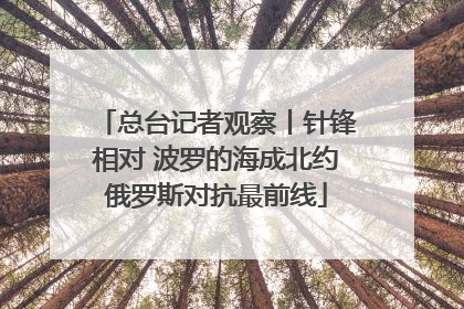 总台记者观察丨针锋相对 波罗的海成北约俄罗斯对抗最前线
