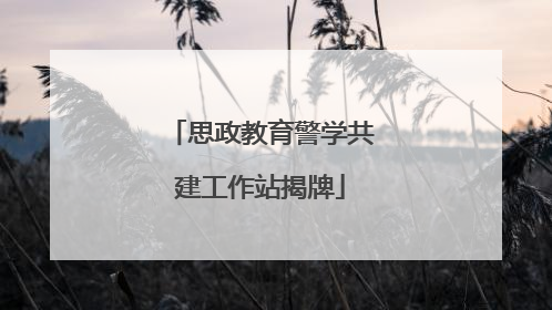 思政教育警学共建工作站揭牌