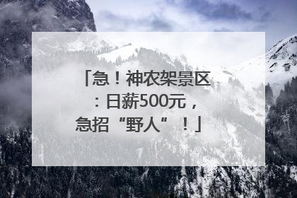 急！神农架景区：日薪500元，急招“野人”！