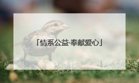 情系公益·奉献爱心