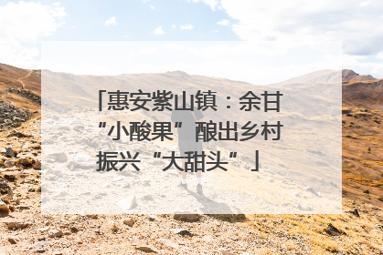 惠安紫山镇：余甘“小酸果”酿出乡村振兴“大甜头”