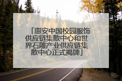 惠安中国校园服饰供应链集散中心和世界石雕产业供应链集散中心正式揭牌
