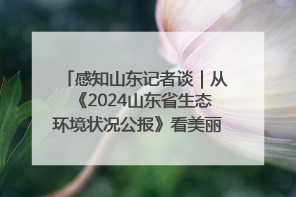 感知山东记者谈｜从《2024山东省生态环境状况公报》看美丽山东建设的“成绩单”与“任务书”