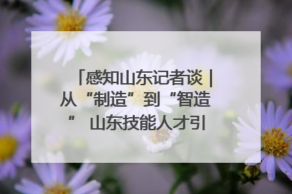 感知山东记者谈｜从“制造”到“智造” 山东技能人才引领产业升级