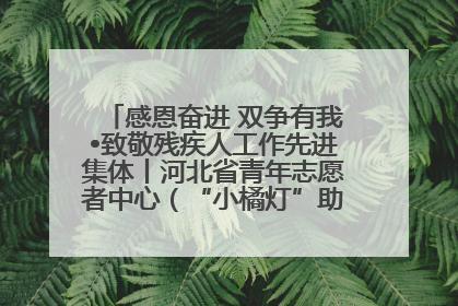 感恩奋进 双争有我•致敬残疾人工作先进集体丨河北省青年志愿者中心（“小橘灯”助残接力计划实施团队）：用温暖陪伴，守护特殊孩子成长