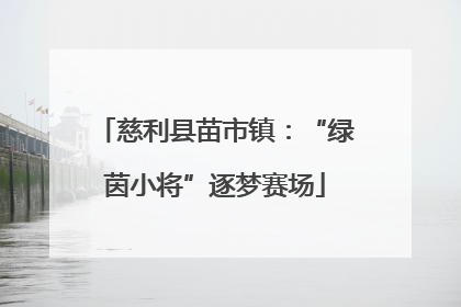 慈利县苗市镇：“绿茵小将”逐梦赛场