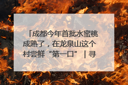 成都今年首批水蜜桃成熟了，在龙泉山这个村尝鲜“第一口”｜寻找和美乡村推荐官
