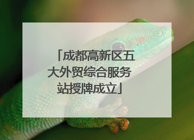 成都高新区五大外贸综合服务站授牌成立