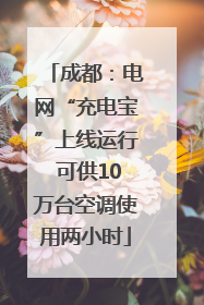 成都：电网“充电宝”上线运行 可供10万台空调使用两小时