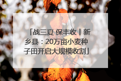 战三夏 保丰收丨新乡县：20万亩小麦种子田开启大规模收割
