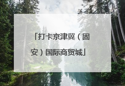 打卡京津冀（固安）国际商贸城