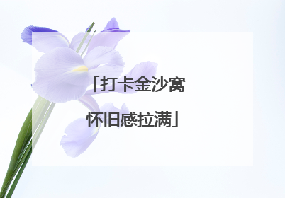 打卡金沙窝 怀旧感拉满