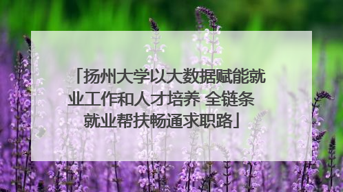 扬州大学以大数据赋能就业工作和人才培养 全链条就业帮扶畅通求职路